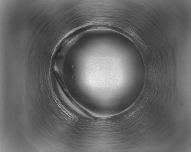 X0000053000880200507221244