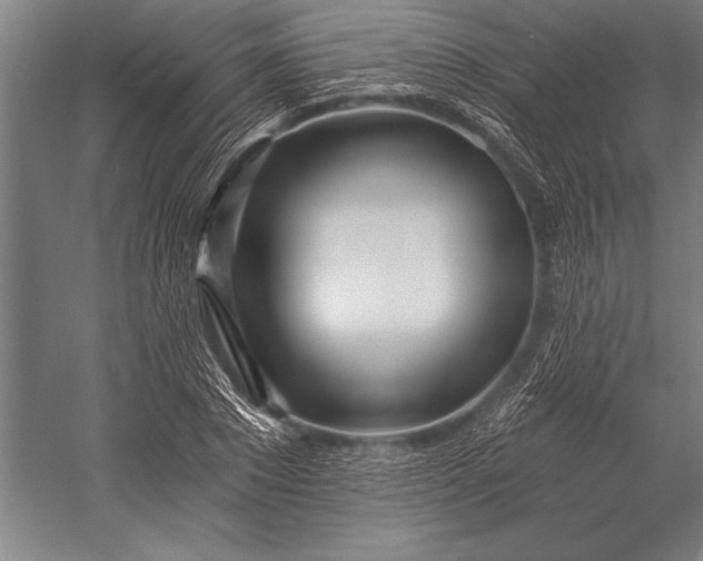 X0000053000881200507221244