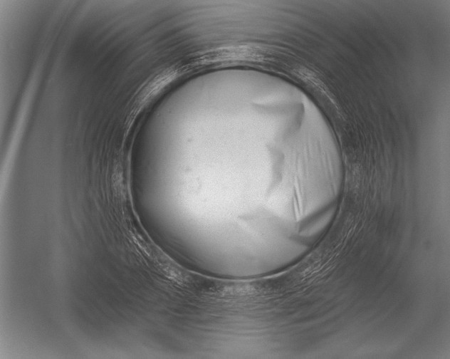 X0000053000882200507221244