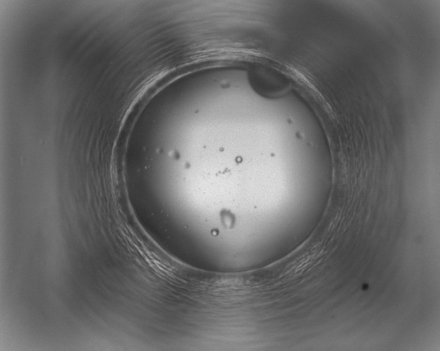 X0000053000883200507221244