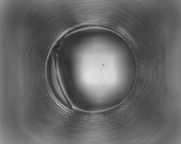 X0000053000884200507221244