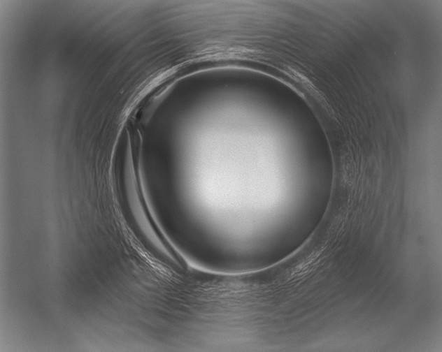 X0000053000885200507221244