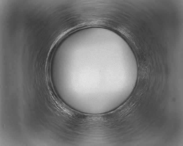 X0000053000886200507221244