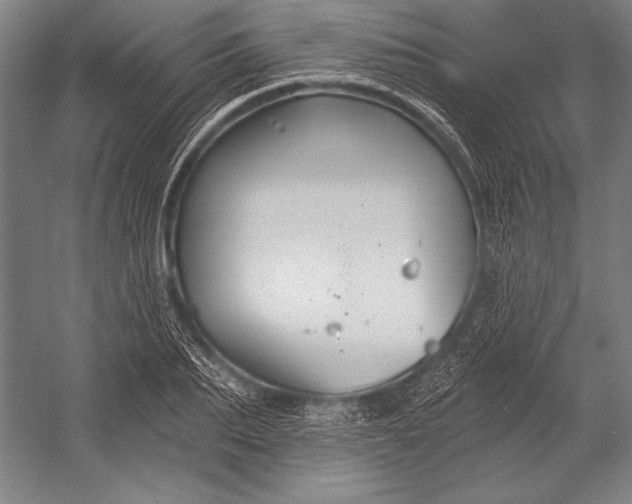 X0000053000887200507221244