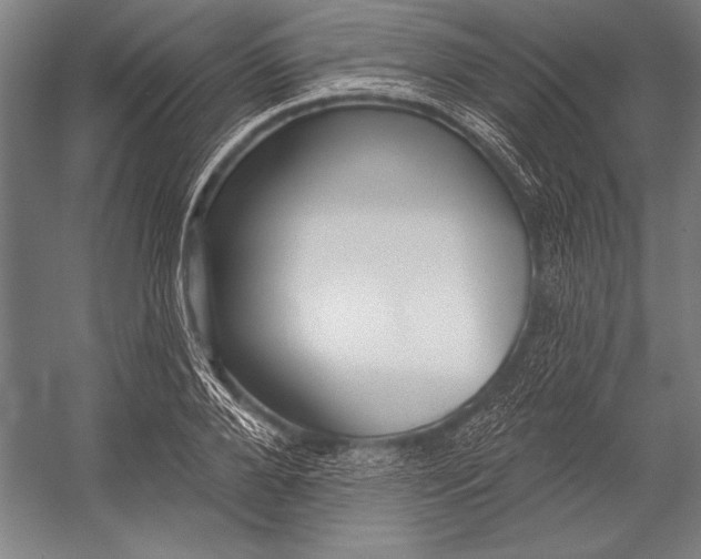 X0000053000888200507221244