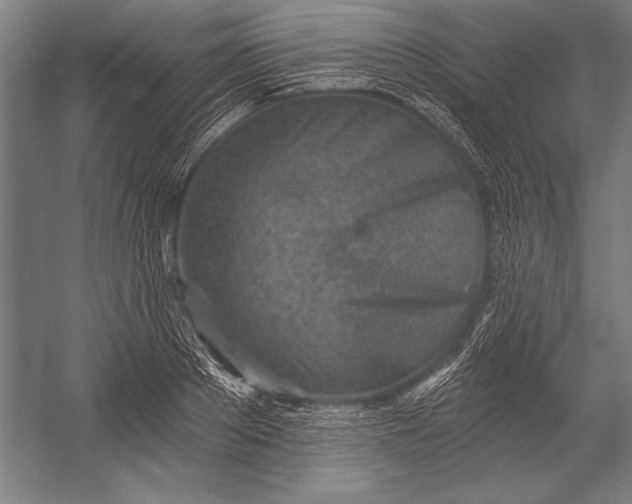 X0000053000889200507221244