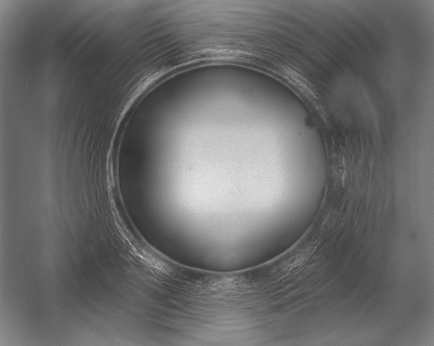 X0000053000891200507221244