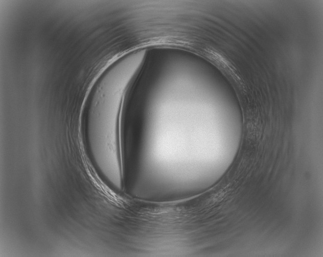 X0000053000892200507221244