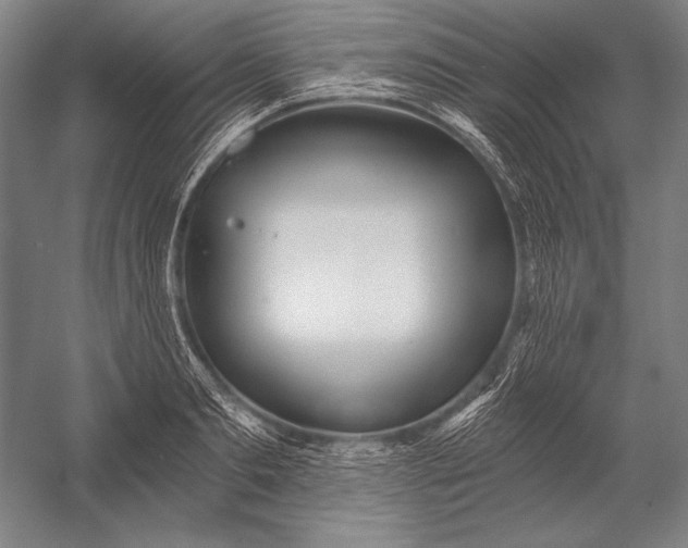 X0000053000893200507221244