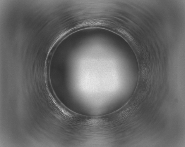 X0000053000894200507221244