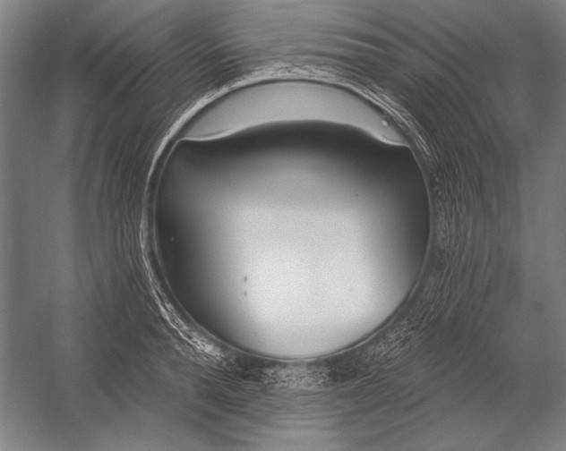 X0000053000896200507221244