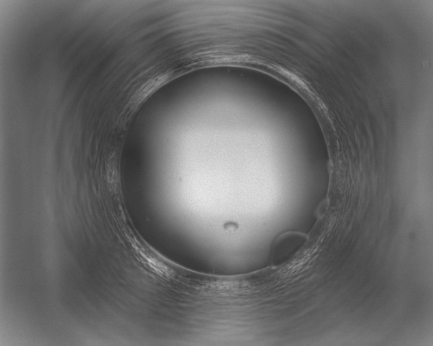 X0000053000897200507221244