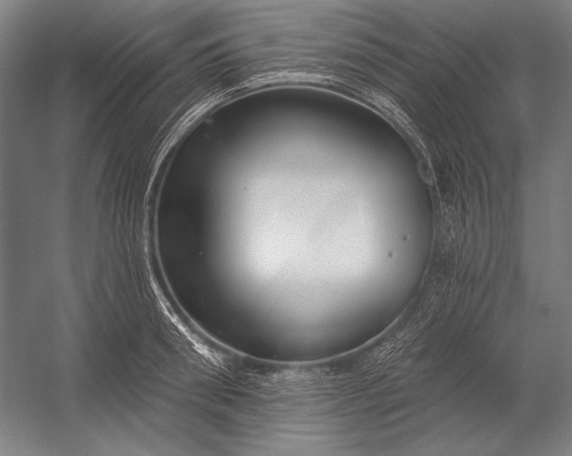 X0000053000898200507221244