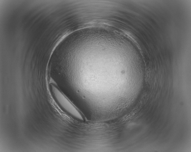 X0000053000899200507221244