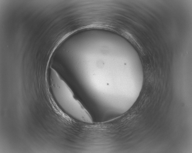 X0000053000900200507221244