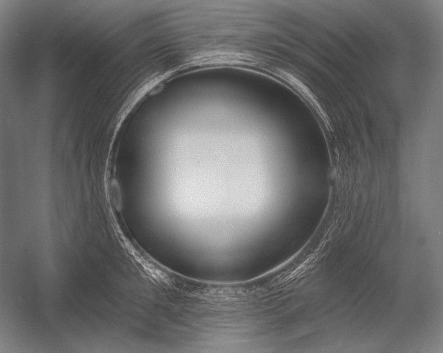 X0000053000901200507221244