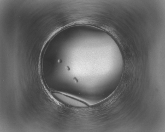 X0000053000902200507221244