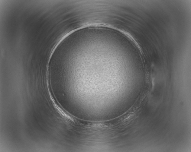 X0000053000903200507221244