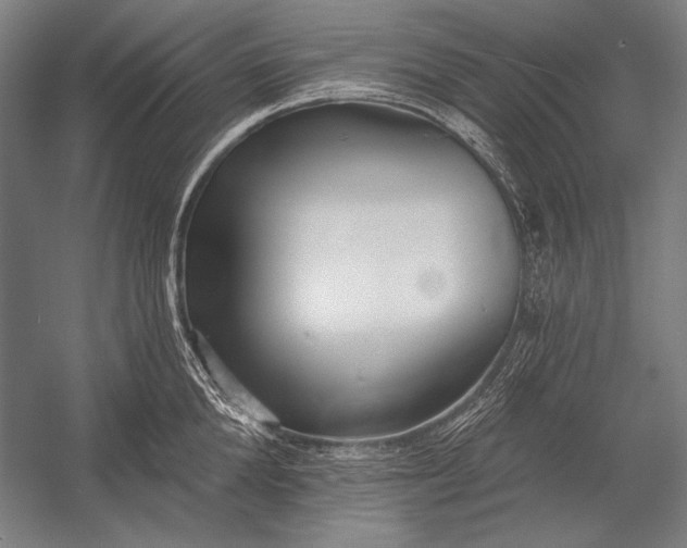 X0000053000904200507221244