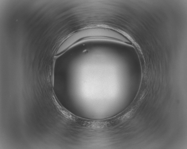 X0000053000905200507221244