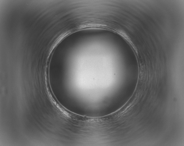 X0000053000906200507221244