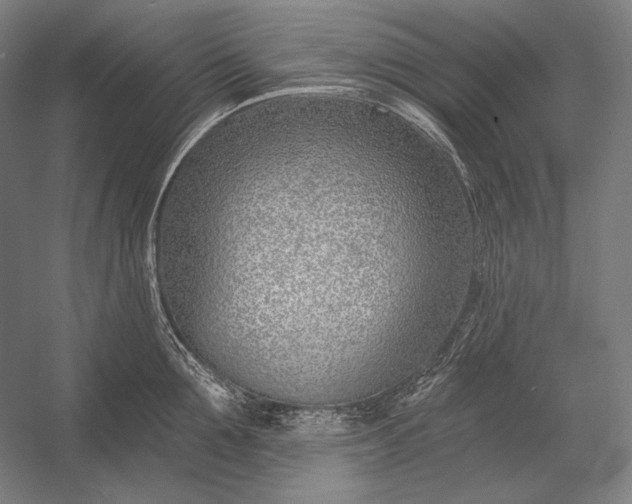 X0000053000907200507221244