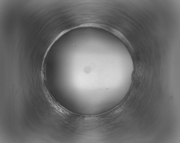 X0000053000908200507221244