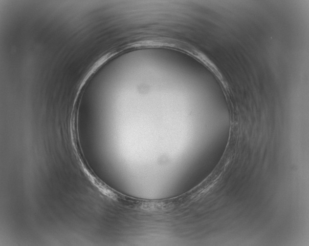 X0000053000909200507221244