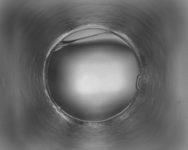 X0000053000910200507221244