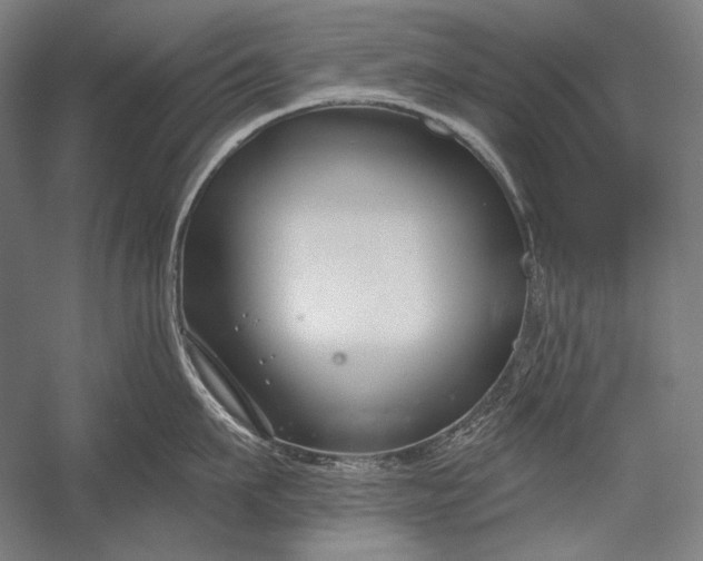 X0000053000911200507221244