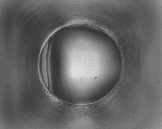 X0000053000912200507221244