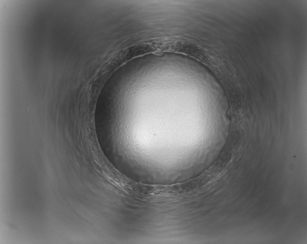 X0000053000913200507221243