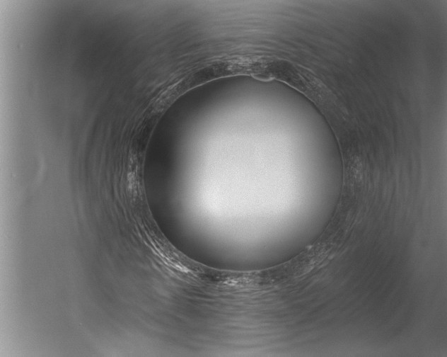 X0000053000914200507221243