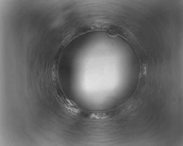 X0000053000915200507221243