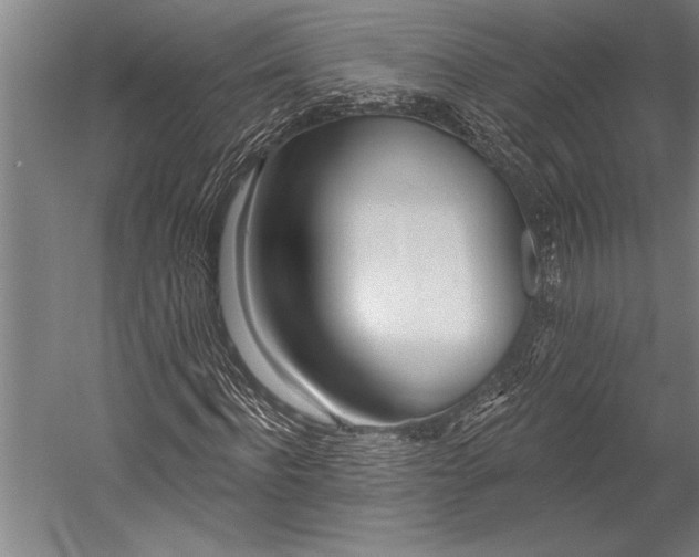 X0000053000916200507221243