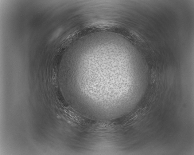 X0000053000917200507221243