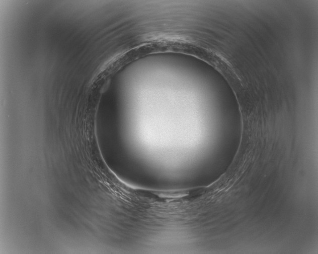 X0000053000919200507221243