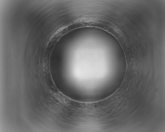 X0000053000920200507221243