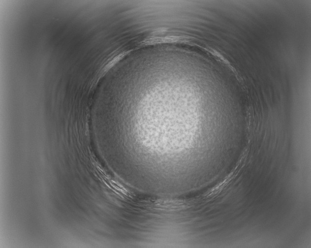 X0000053000921200507221243