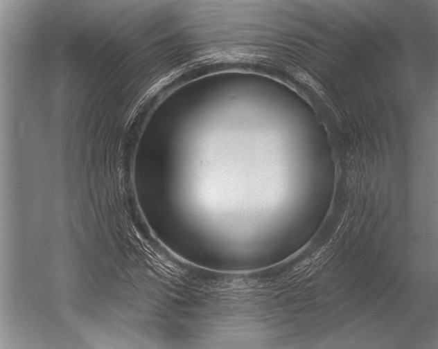 X0000053000922200507221243