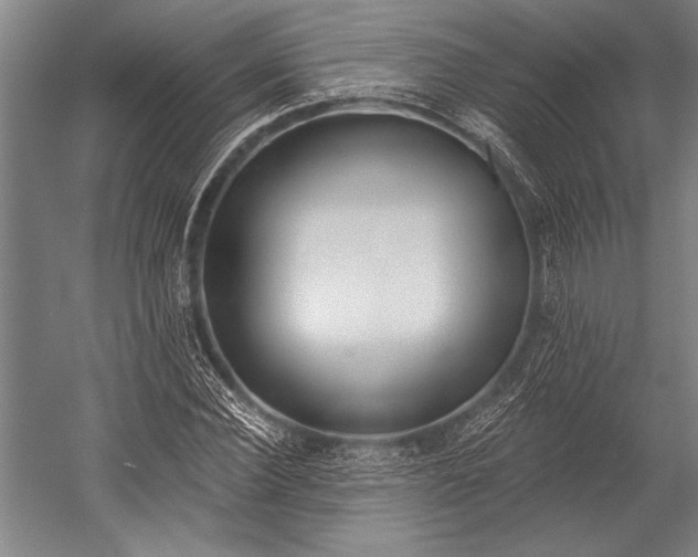 X0000053000924200507221243