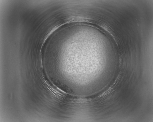 X0000053000925200507221243