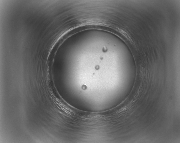 X0000053000926200507221243