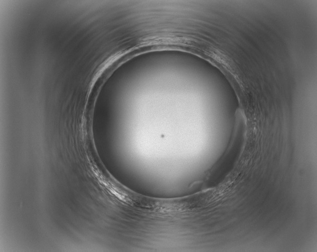 X0000053000928200507221243