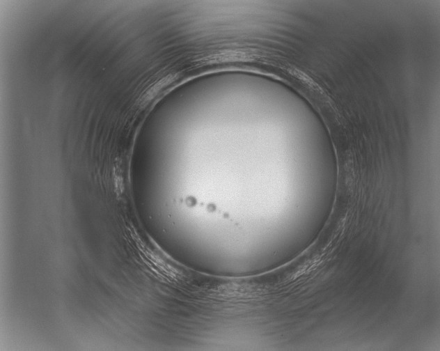 X0000053000929200507221243