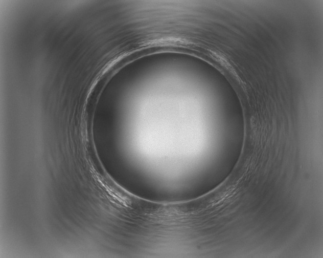 X0000053000931200507221243