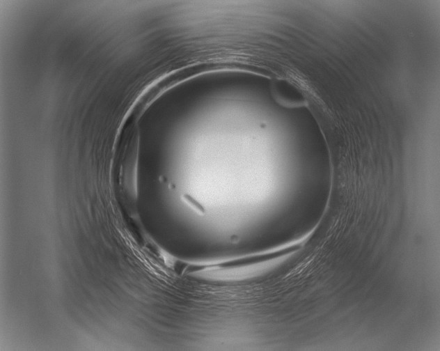 X0000053000932200507221243