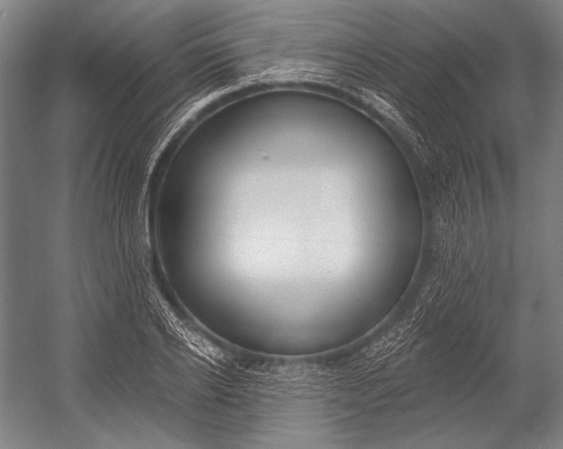 X0000053000934200507221243