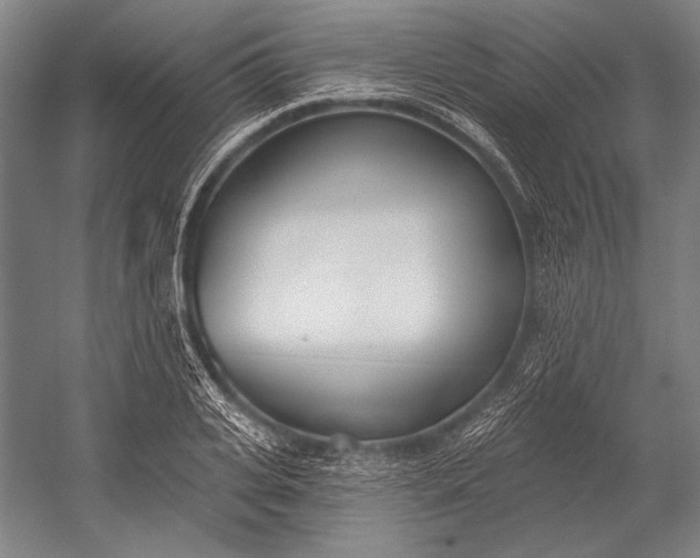 X0000053000935200507221243