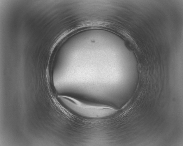 X0000053000936200507221243